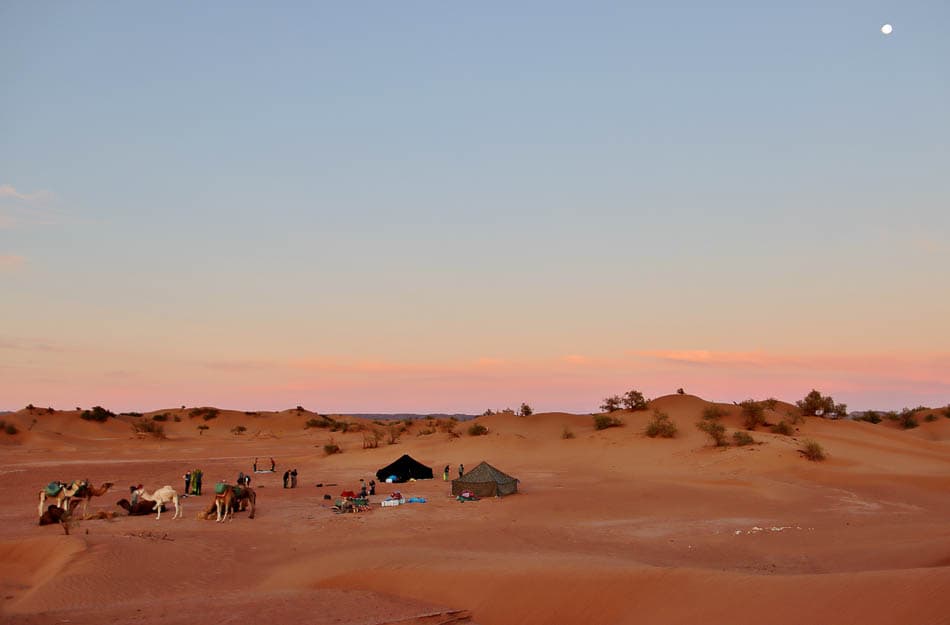 Sahara (26) (1) Arne Vanwijnsberghe Arne Vanwijnsberghe W950