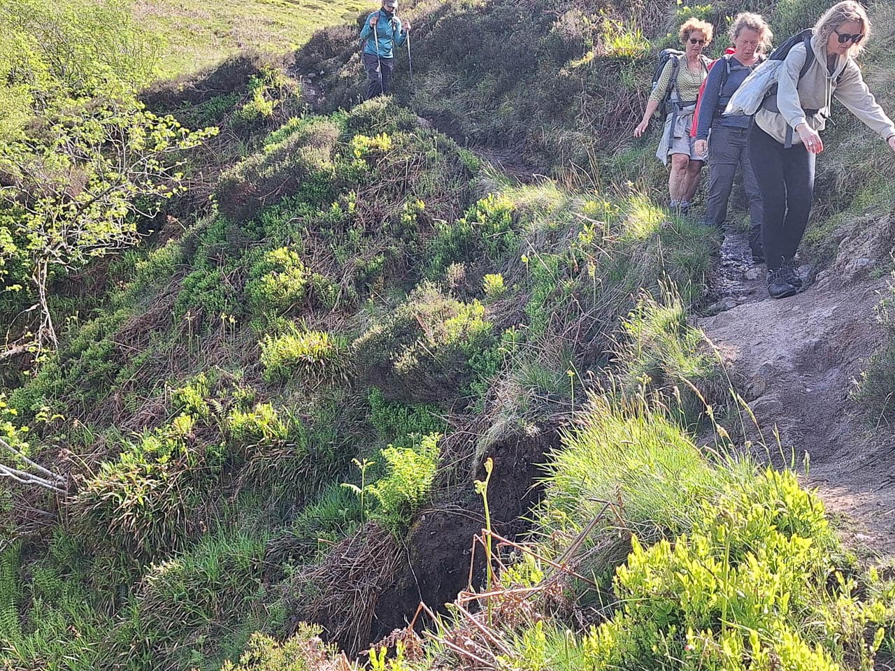 Selectie 20240520 160153 Willy Stoelzaet