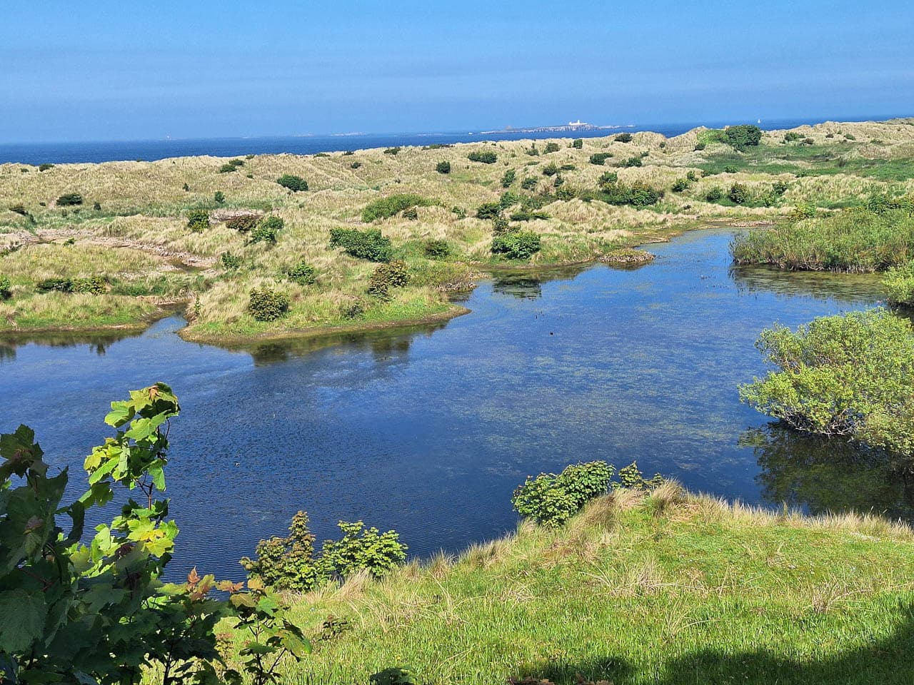 Selectie 20240524 154140 Willy Stoelzaet