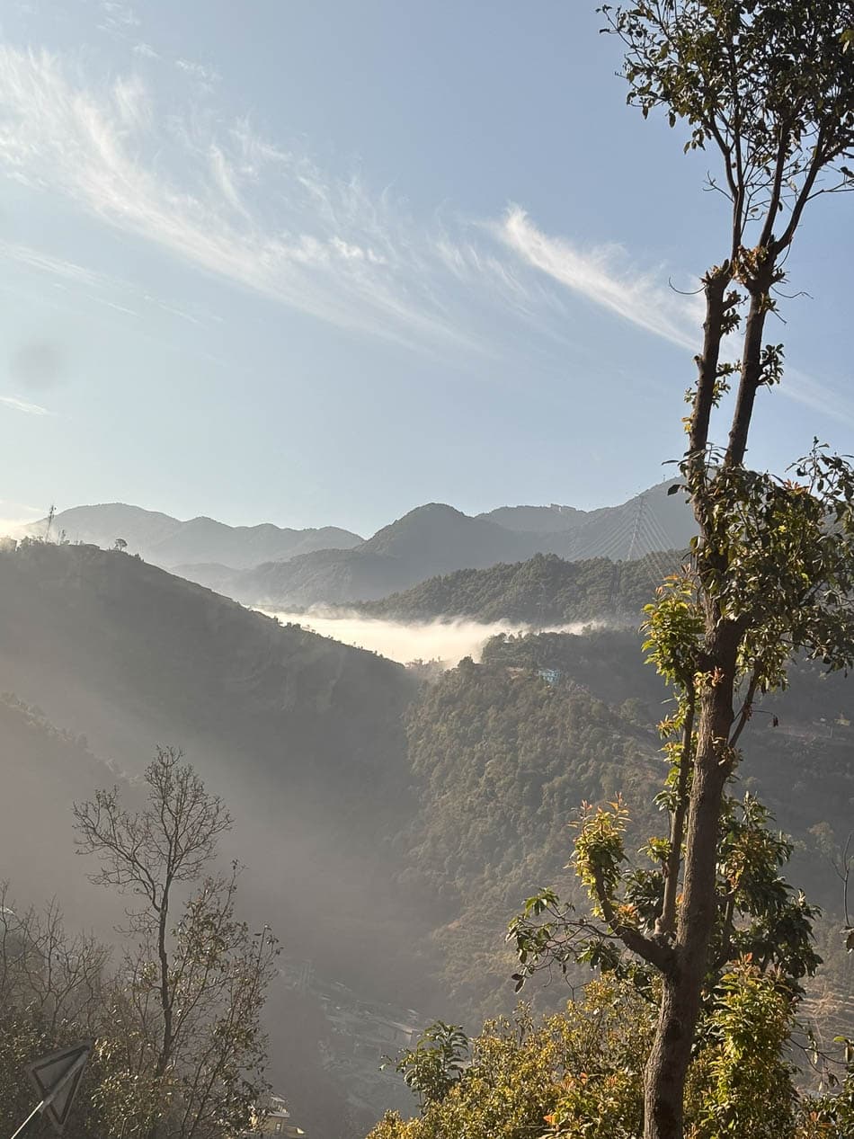 IMG 1028 NP5FMA Yves Cams W950