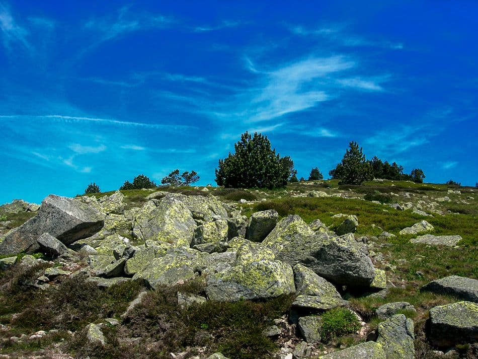 F009 STV 14 JP 00661_export_w950