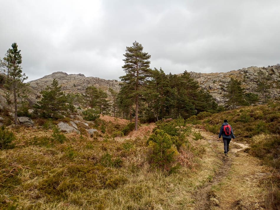 IMG_20230330_143144_393-PT1PGA1 Sam Vermeire--w950