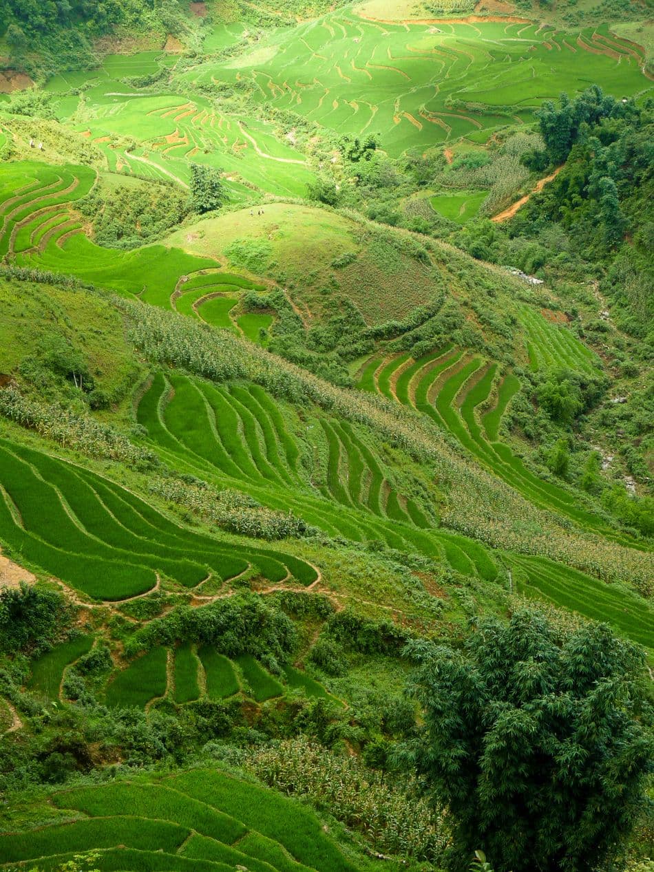 Vietnam 10 A M De Wilde Vietnam 2010 123 Export W950