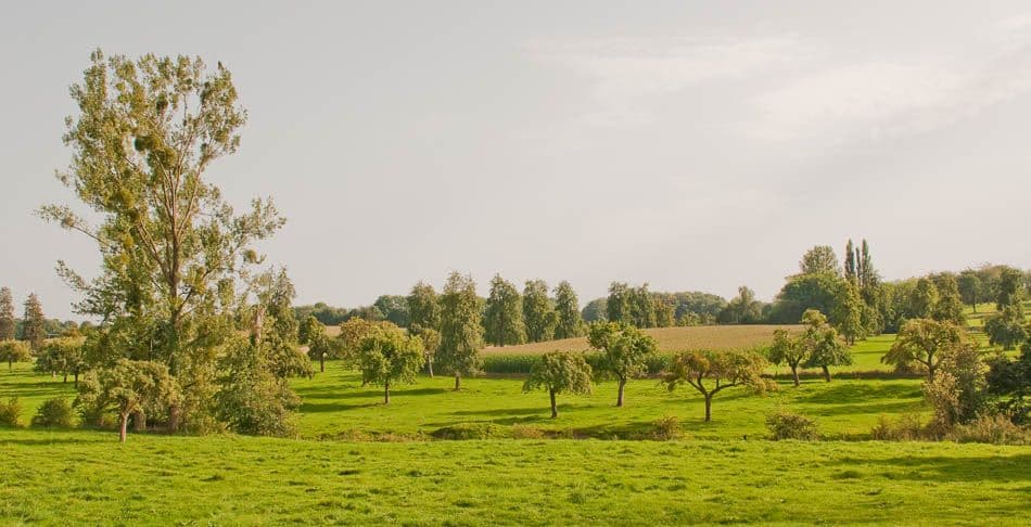 2012 08 19 Voeren 43B Chris Derynck_Chris Derynck_w950