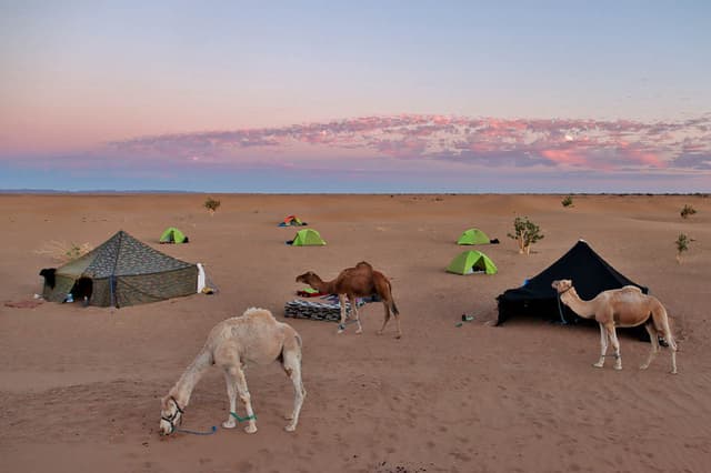 Sahara (75) Arne Vanwijnsberghe Arne Vanwijnsberghe W950