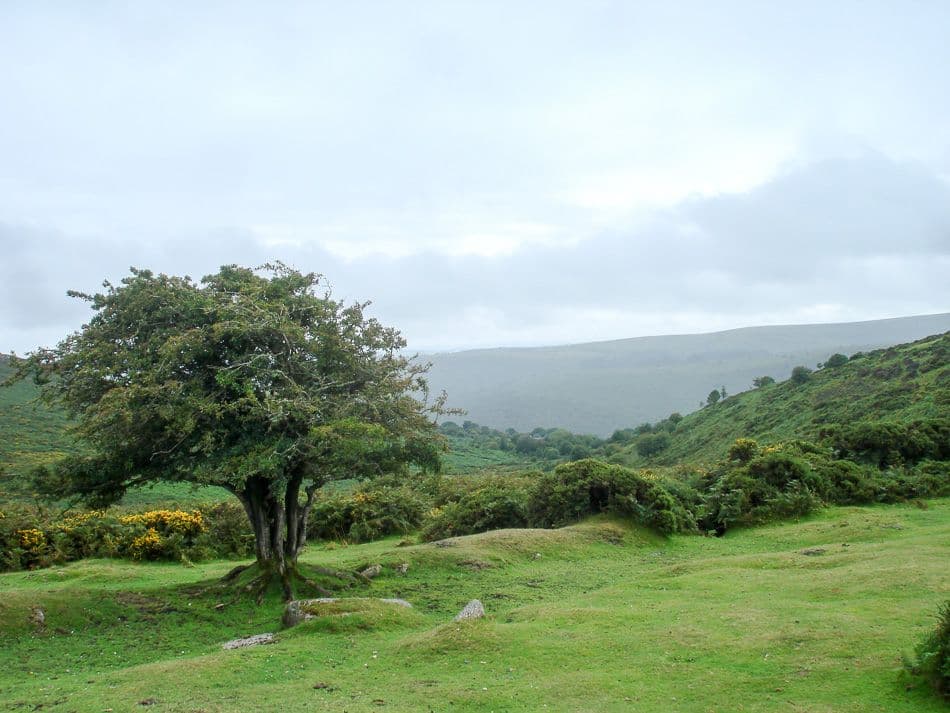 DSC05909_export_w950