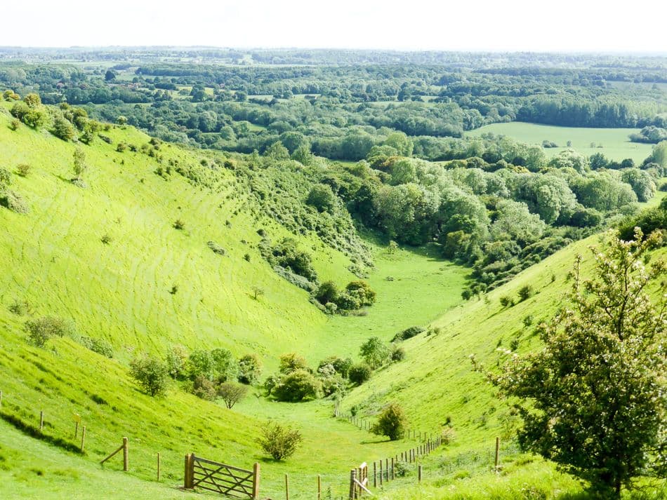 Kent-14-Miranda-Van-Meensel-P1010289_export_w950