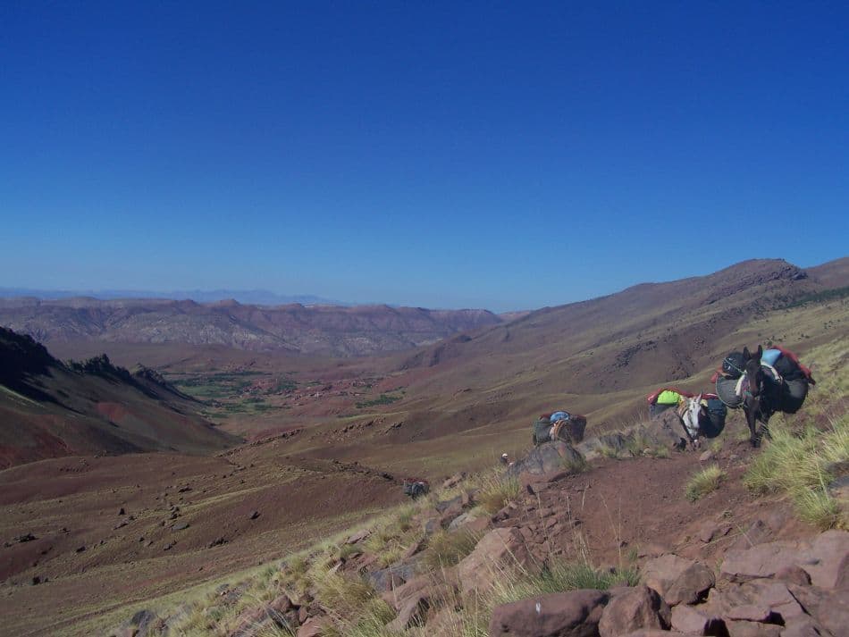 Atlas-O-W-Carlo-Borgers-09-reeks1-224_export