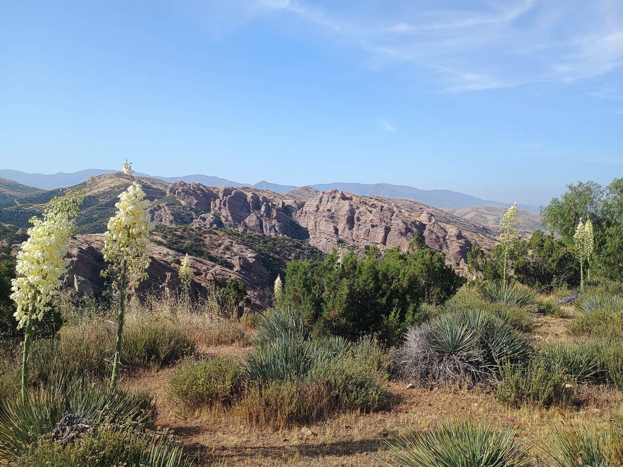 Foto's IMG 20240602 083458084 Olivier Van Hoey