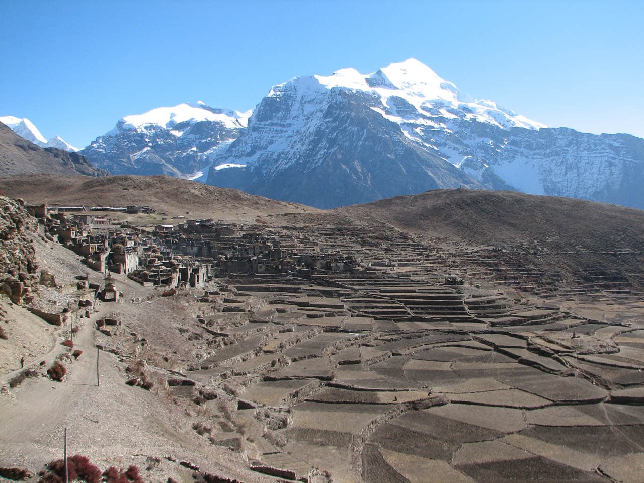 Website Nar&Phu&Tilicho Annapurna Alt 08 Peter Keppens IMG 7370 Peter Keppens