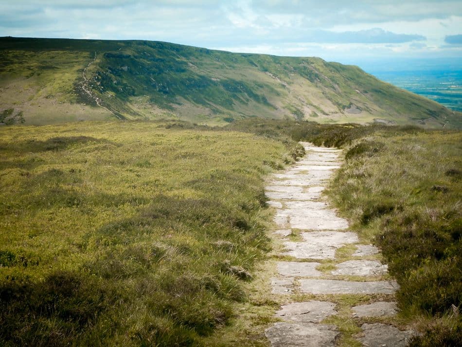 DSCN6086_export_w950