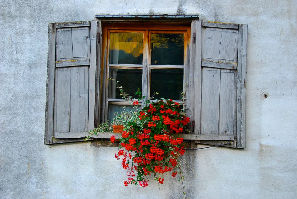 Slovenie 12 Ruud Peten DSC 0158 Export W950