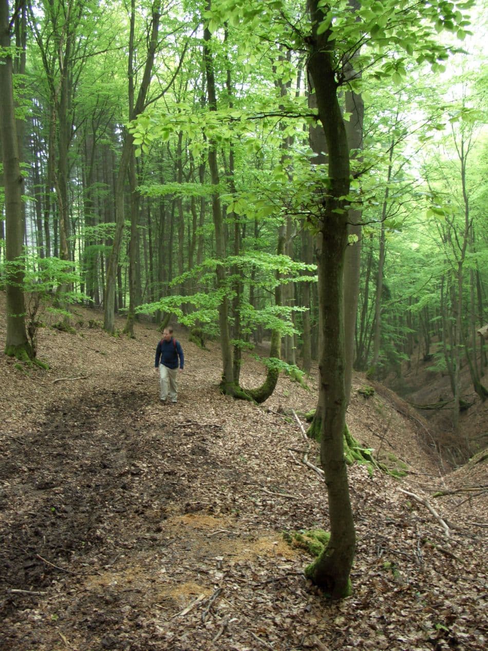 Vulkaaneifel 05 Dominique Chantrain 3 Export