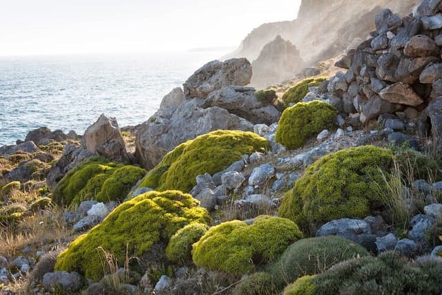 Kreta-south-coast-Lex-van-den-Bosch-4_export