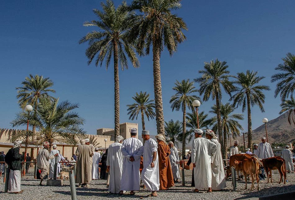 15 Selectie Rob Putseys W950