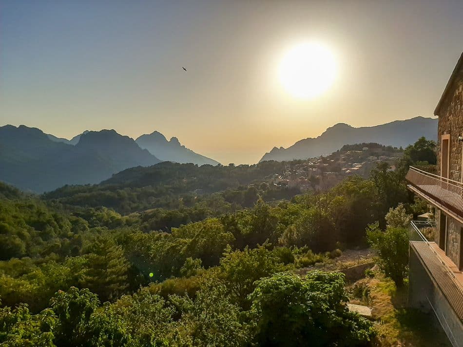 20200722_194047_export_w950