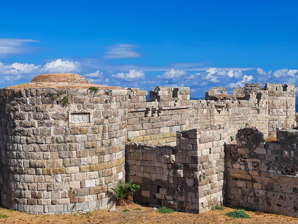 20211016_114654_steven-vertommen_w950