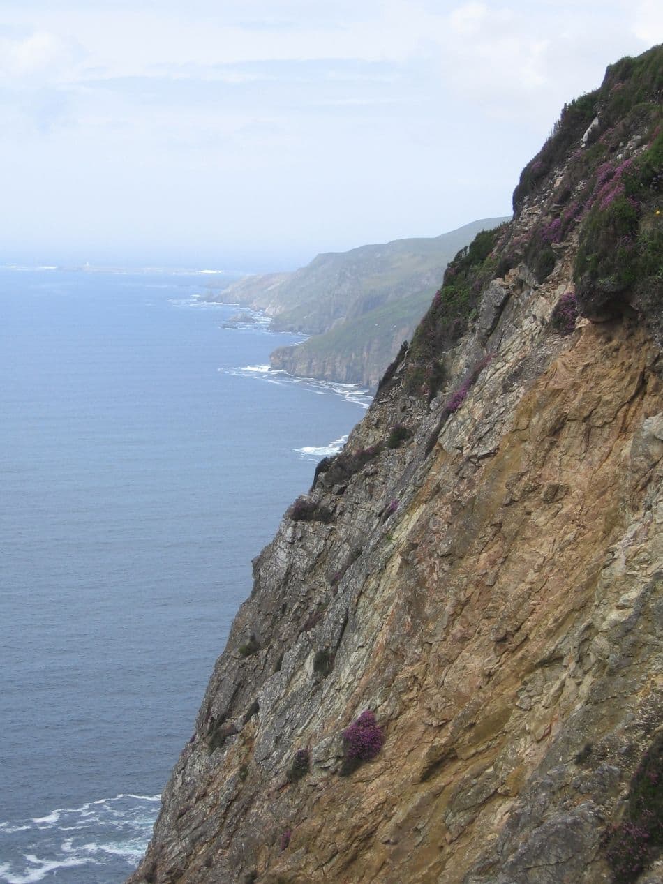 Afbeelding-494_export