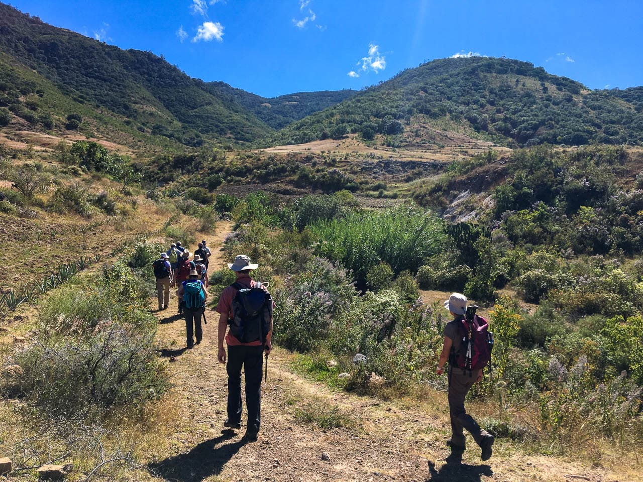 IMG 7131 Selectie Murielle Coppin W1280