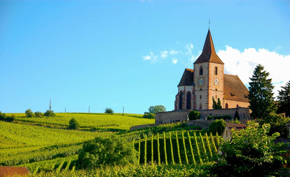 Alsace Velo Safrantours 12 FR6EZA Safrantours W950