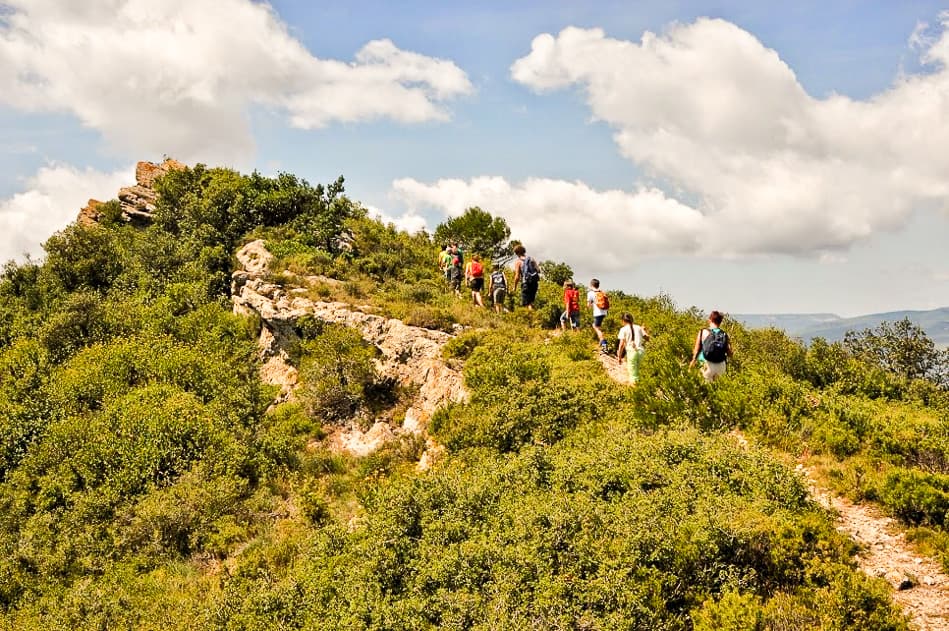 Naar De Top Export W950