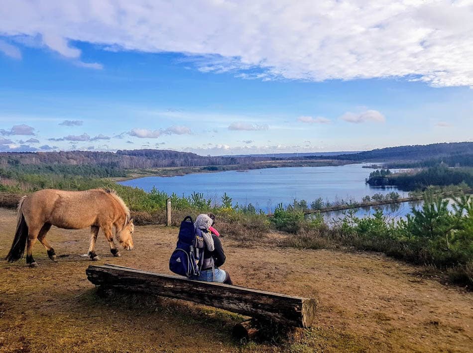 20201213 131710 2 BE6CTA (Wandel En Fiets NPHK Van Kevin) W950