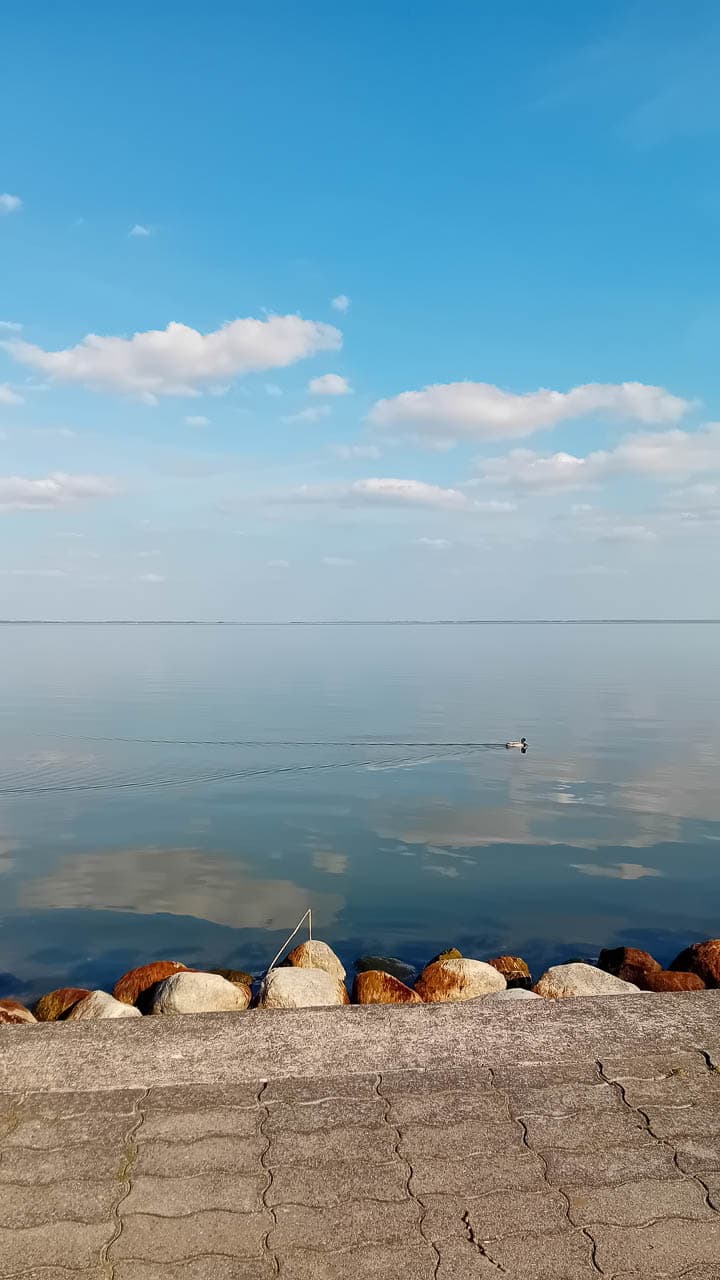 Website Selectie 20250413 171305 Maarten Caversoons