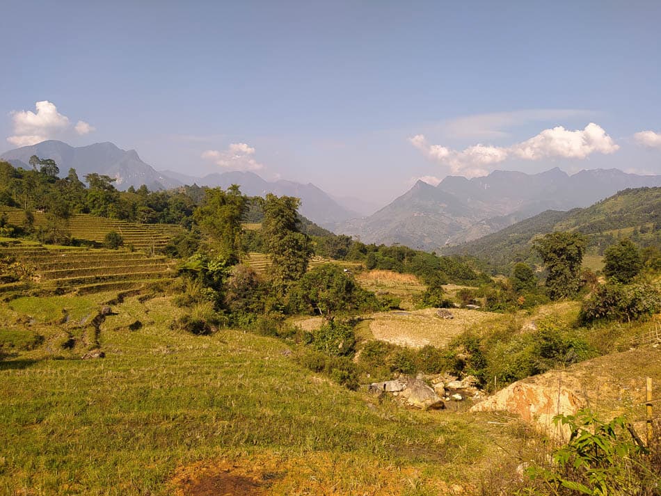 IMG 20241104 091329 Charlotte Charlotte Stevens W950