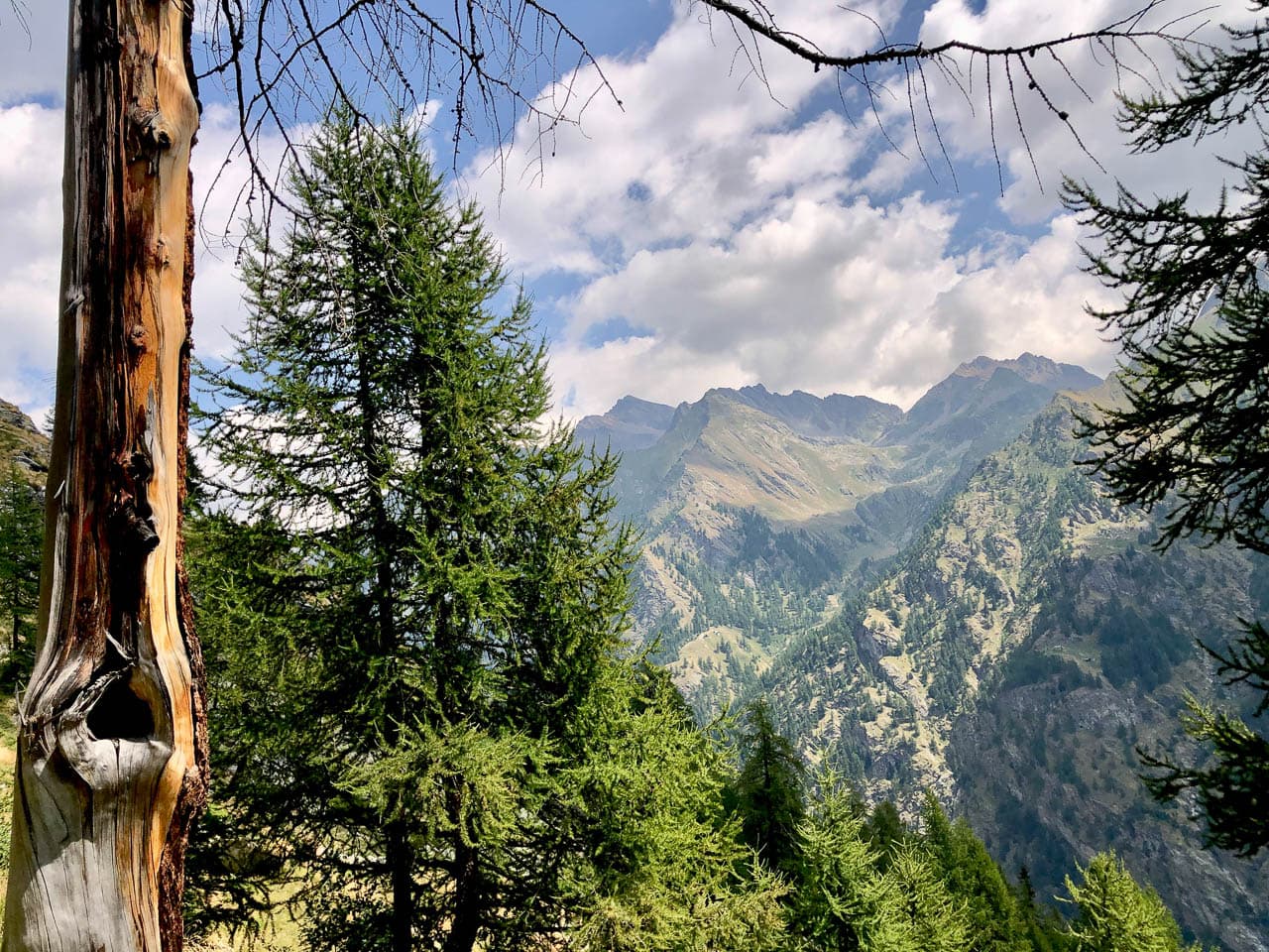 Valle Del Lys Anneke Dekker IMG 5021 Anneke Dekker