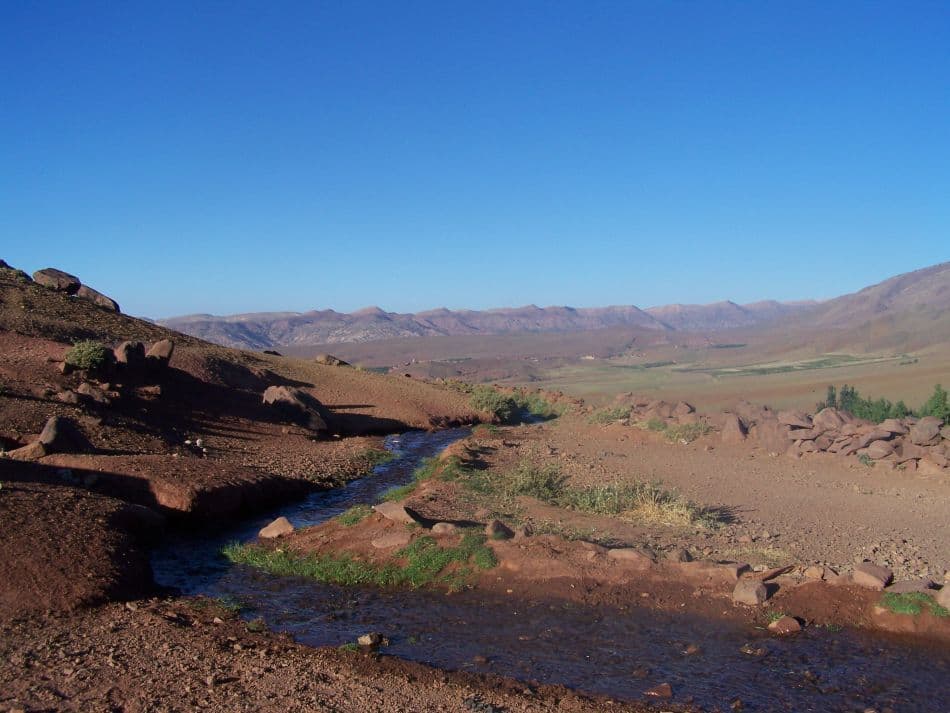 Atlas-O-W-Carlo-Borgers-09-reeks1-223_export