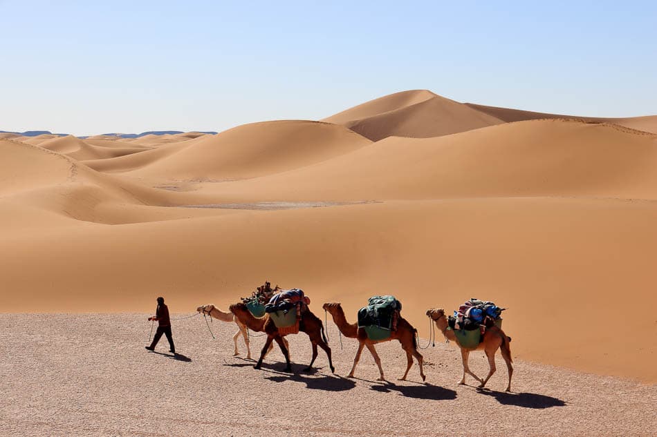 Sahara (137) Arne Vanwijnsberghe Arne Vanwijnsberghe W950