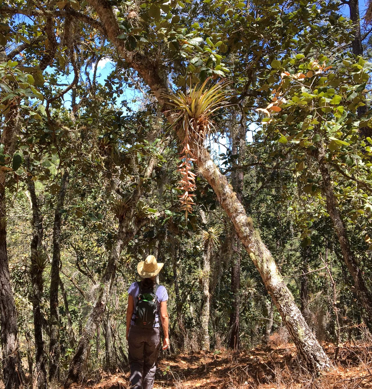 IMG 2118 Selectie Murielle Coppin W1280