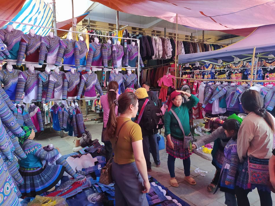 IMG 20241103 093158 Charlotte Charlotte Stevens W950