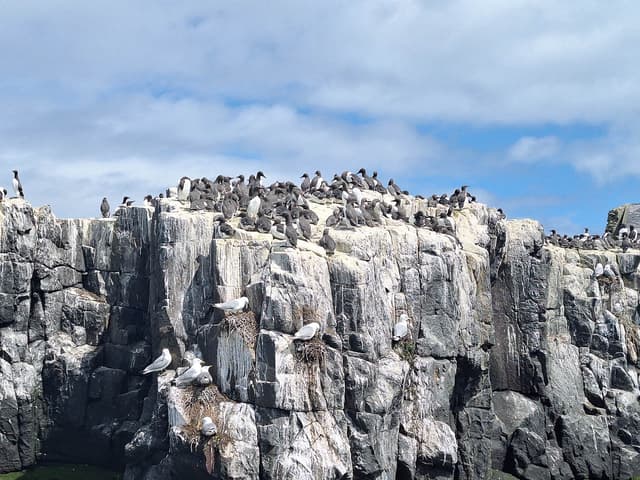 Selectie 20240524 122246 Willy Stoelzaet