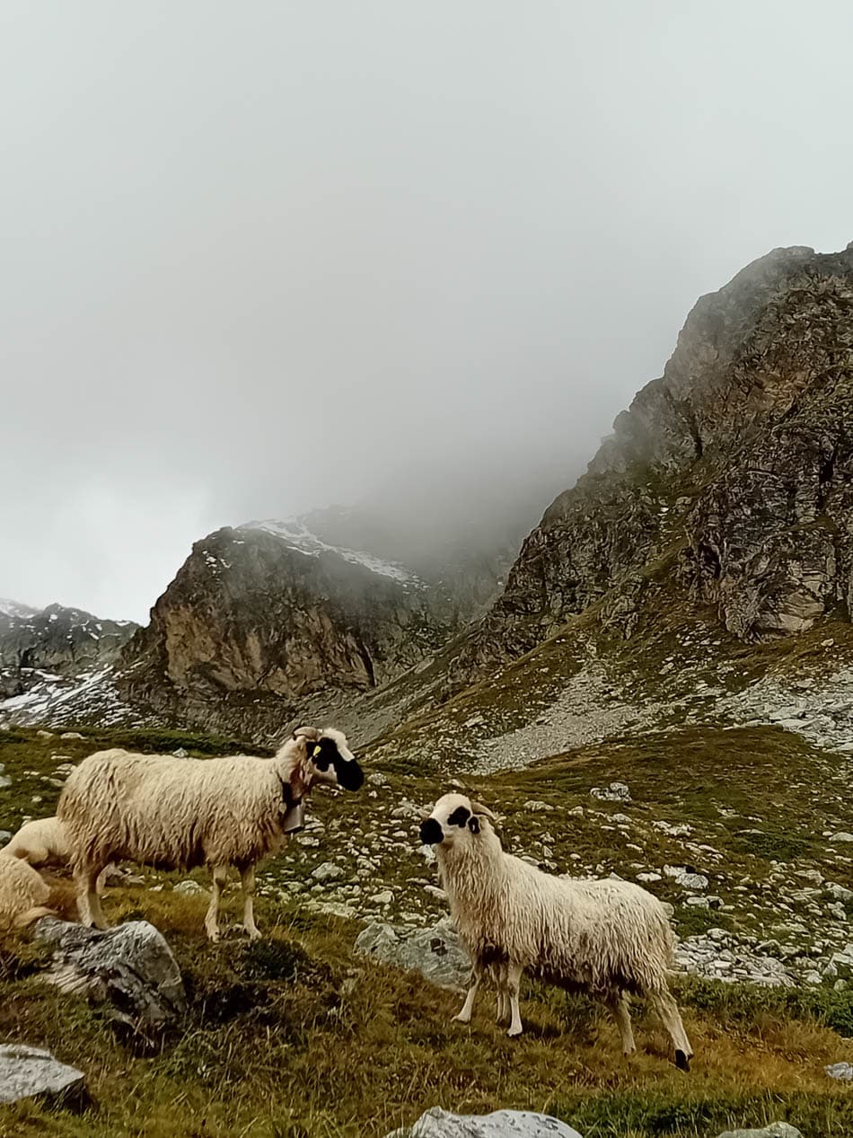 20230830_104617-FR5VNA Maarten Caversoons-Maarten Caversoons-w950