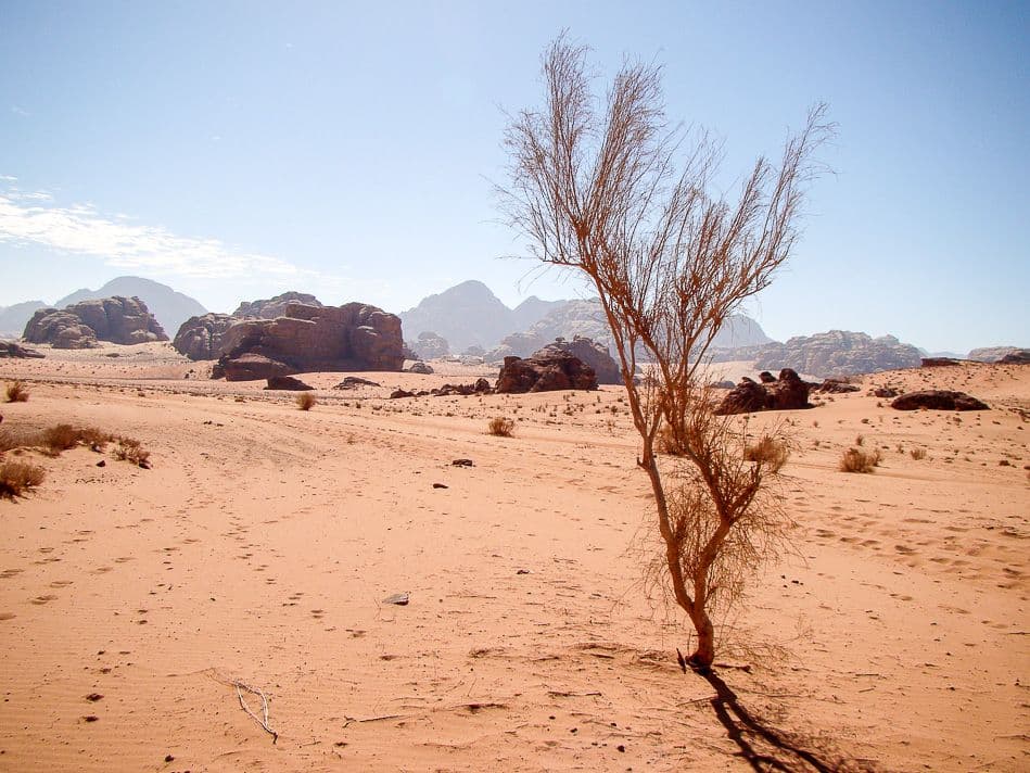 Wadi-Rum-Ann-Baert-13-DSC02337_export_w950