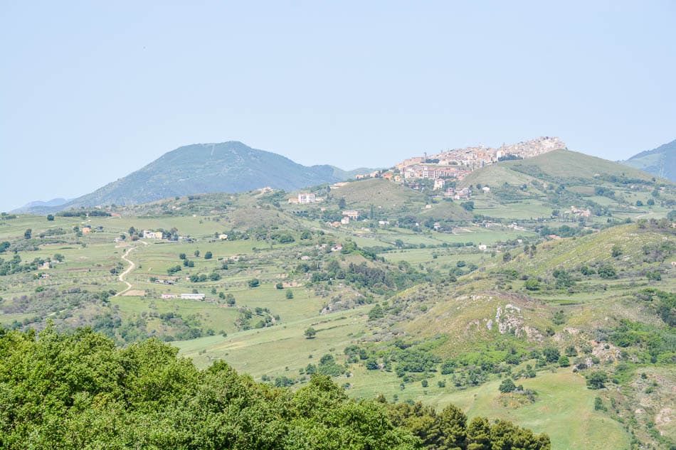 DSC 6173 Selectie Melissa Bernard Quintens W950