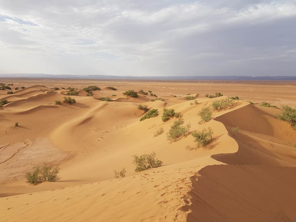 20231030 163606 Selectie Voor Rouwreis Charlotte Stevens W950