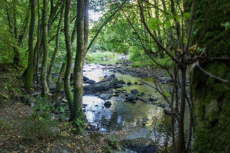 DSC02686_export_w950