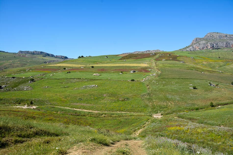 DSC 6131 Selectie Melissa Bernard Quintens W950