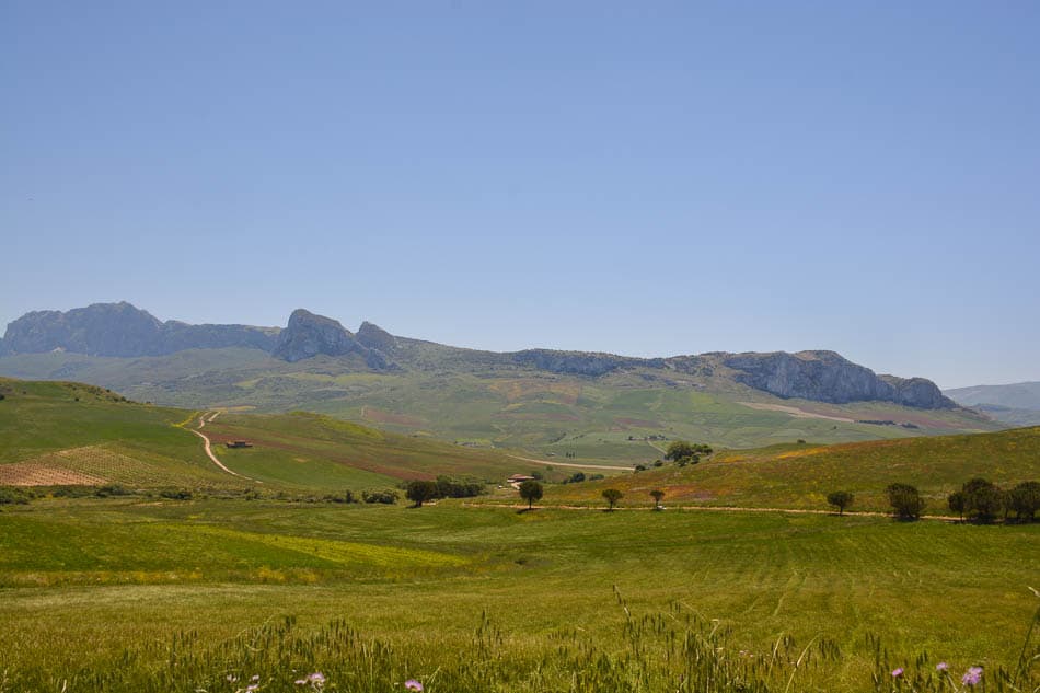 DSC 6108 Selectie Melissa Bernard Quintens W950