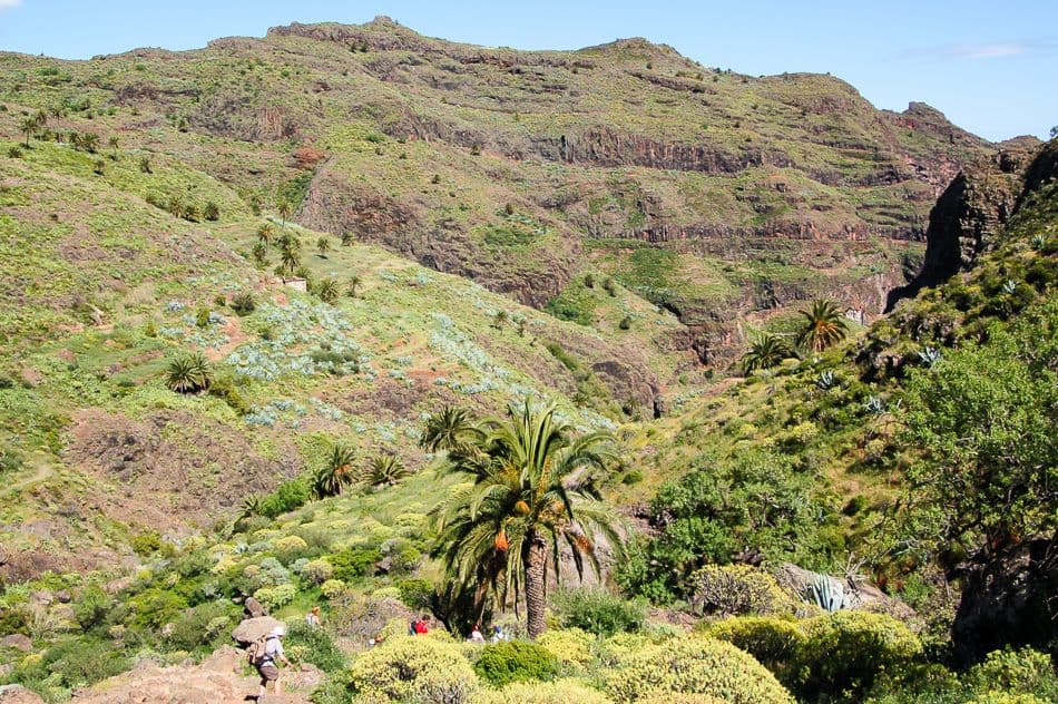 La Gomera 07 Luc Lioen 03_export_w950