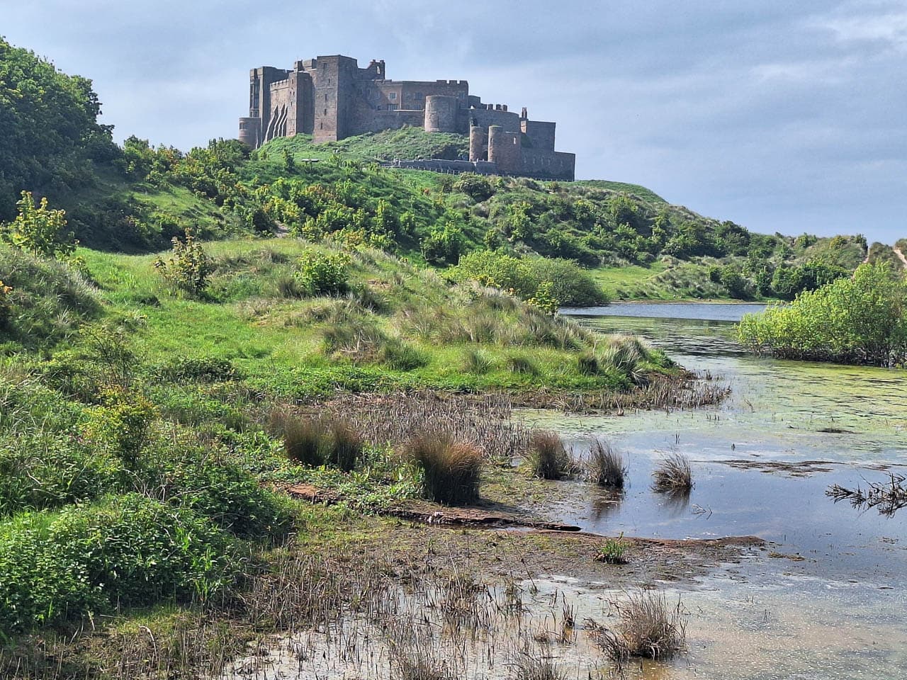 Selectie 20240524 154436 Willy Stoelzaet