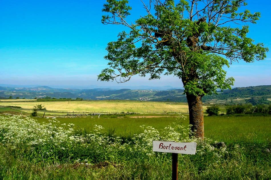 A006 STV 14 EV 0029_export_w950