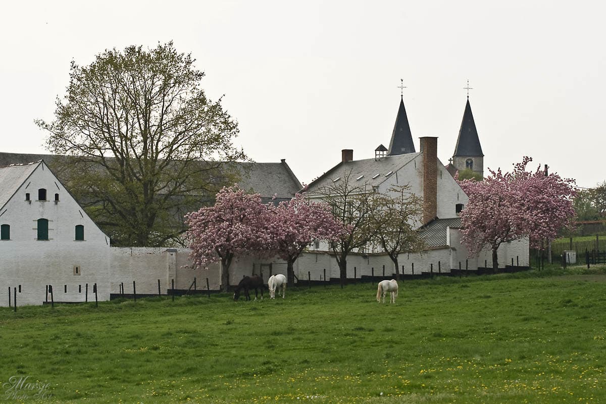 Selectie Bart In Het Spoor Van Zwarte Jean 3 Hoeve Lindenhof (Lokaal Bestuur Huldenberg) Huldenberg