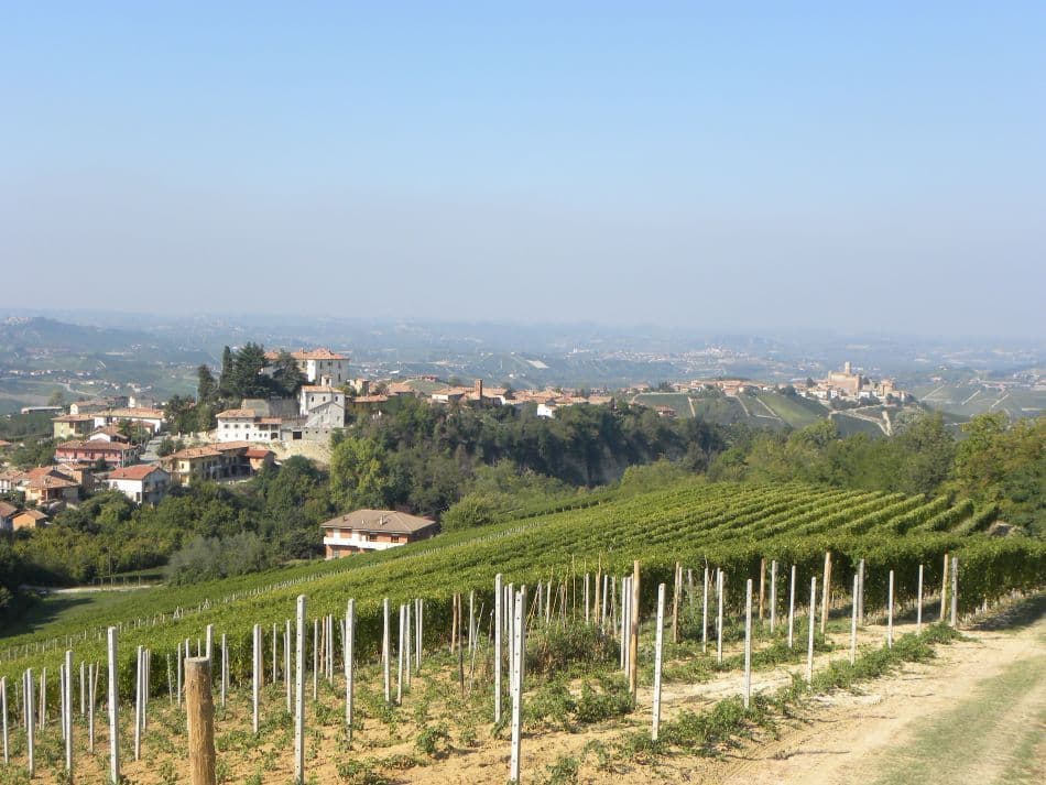 Piemonte-11-Wim-Vanderheeren-Zicht-op-Perno-en-Serralunga-dAlba_export_w950