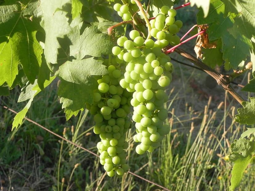 vakantie en shit 309_export_w950 (1)