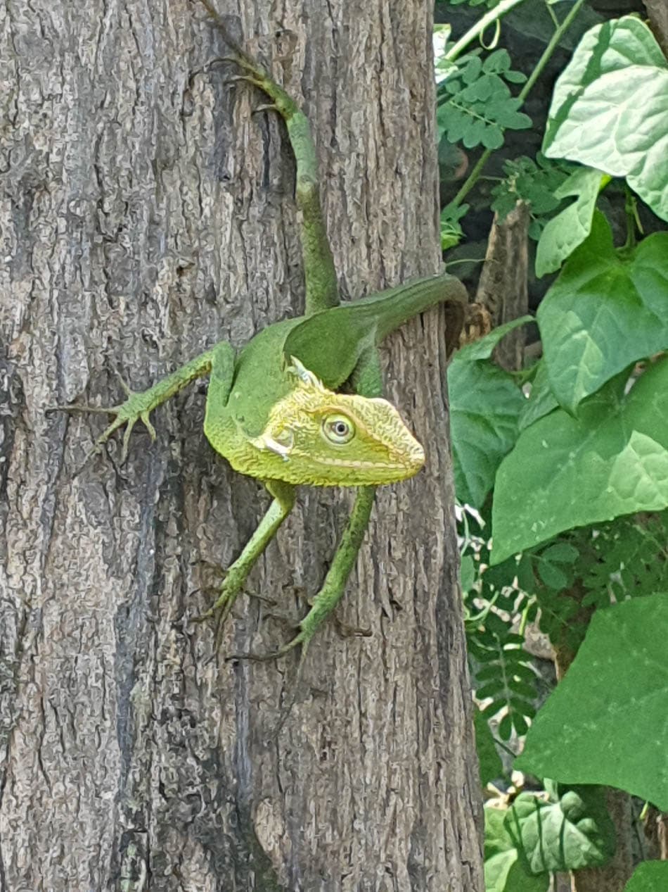 20240712 113830 Marieke Huys Marieke Huys W950