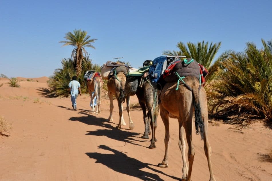 IND14-93-Marokko-Myriam-Longerstay-13-DSC_8829_export