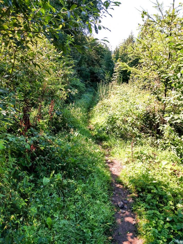 IMG_20160823_115032_export_w950